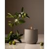 Neroli Leaf