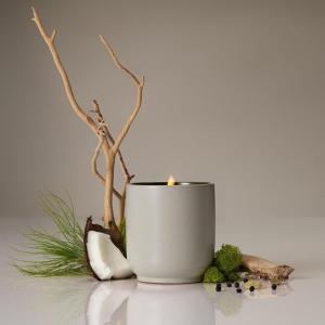 Homecourt Luxury Scented Candle, 60-Hour Burn Time, Soy Wax Blend & Organic Cotton Wick, Kiln-Fired Reusable Ceramic Vessel, Cece, 8 oz(Cocomoi)