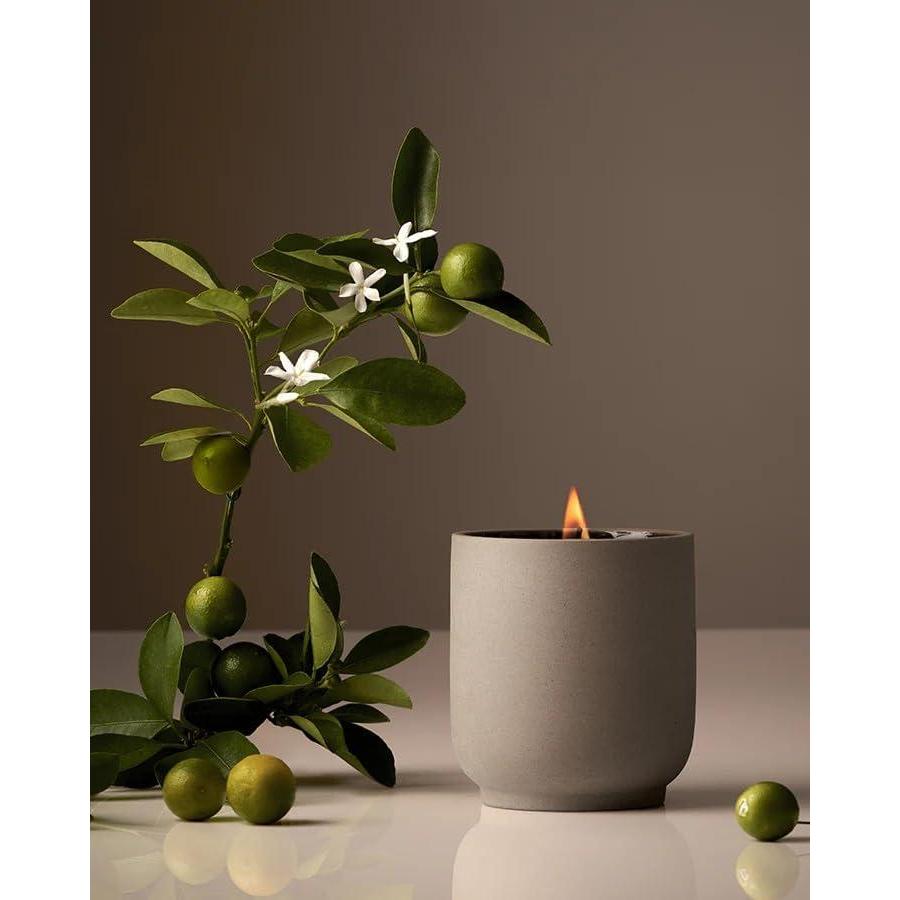 image:imageHomecourt Luxury Scented Candle Cece Scent 60Hour Burn Time Soy Wax Blend Organic Cotton Wick KilnFired Reusable Ceramic Vessel 8 Oz 20Neroli Leaf