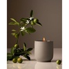 Neroli Leaf