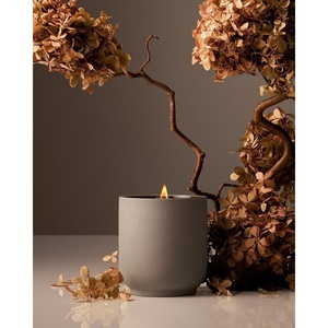Homecourt Luxury Scented Candle, Cocomoi Scent, 60-Hour Burn Time, Soy Wax Blend, Organic Cotton Wick, Kiln-Fired Reusable Ceramic Vessel, 8 Oz, 2.0(Cece)