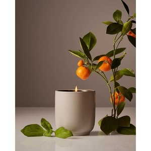 Homecourt Luxury Scented Candle, Cocomoi Scent, 60-Hour Burn Time, Soy Wax Blend, Organic Cotton Wick, Kiln-Fired Reusable Ceramic Vessel, 8 Oz, 2.0(Mandarin Basile)